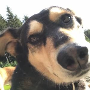 Meet your Posher, Hailey